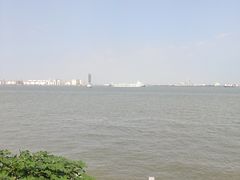 -海鸥岛