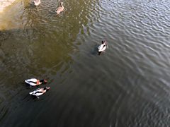 -石家庄市动物园