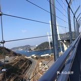 看到点评都是邮轮客过来的 一般的也不会来吧