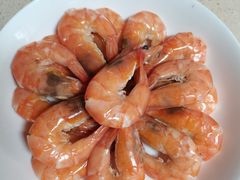 -福孕妈妈家政•月嫂育儿嫂保姆