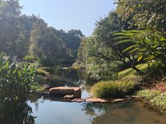 -云溪植物园