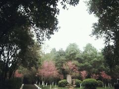 android_upload_pic-富乐山