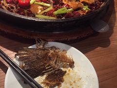 -老板恋上鱼(印象城店)