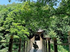 -凤栖山