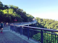 -金鸡山公园
