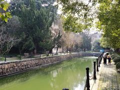 -同济大学(沪西校区)