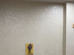 -宠爱国际动物医院·消化内科·心肾内科·ISFM猫友好(望京店)