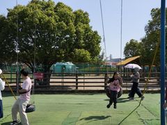 -苏州太湖西山岛开心农场