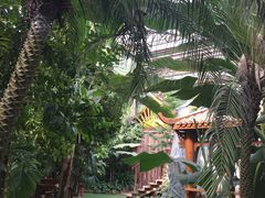 -呀路古热带植物园