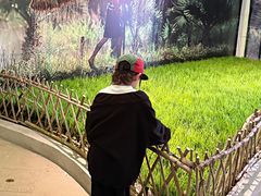 -国色天乡三期陆地乐园