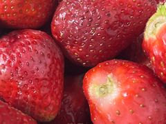-海吉星市场