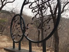 -阳台山自然风景区