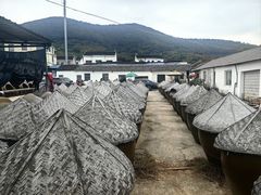 -苏州市吴中区光福窑上花果蜜饯厂