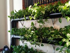 -孙三拨按摩拨筋(五一路店)