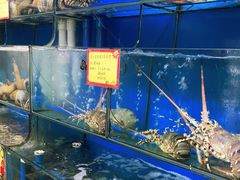 水产区-蚝专家(北滘店)