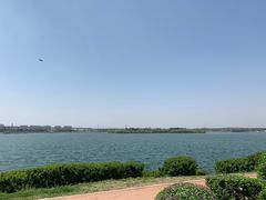 -丁香湖公园