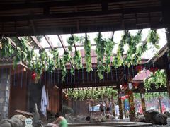 -骏途旅游