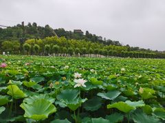 -南戴河国际娱乐中心