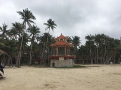 -东郊椰林