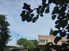 -上海滨江森林公园