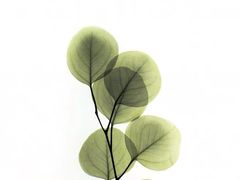 -肯德基(洛川店)