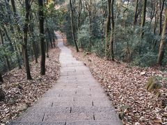 -西湖风景区十里琅珰-五云山
