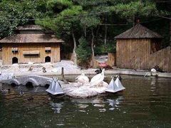 -燕塞湖鸟语林景区