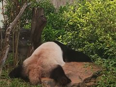 -南宁市动物园