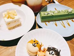 -柴务处·柴犬主题狗咖