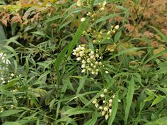 -崂山菜市场(上港小区店)