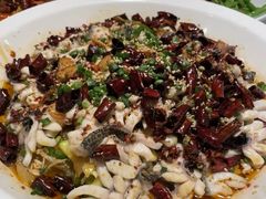 -三猫黑鱼花(南大店)