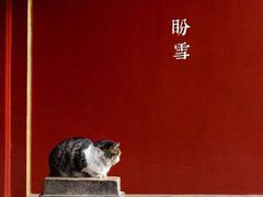 -水之惠鲜鱼料理(王府大街店)