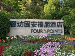 -廊坊固安福朋喜来登酒店