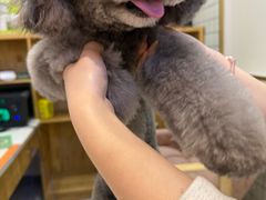 -萌宠主义宠物生活馆(金山路店)