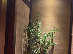 -千代武日本料理(爱建店)