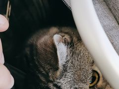 -芭比堂动物医院·CT·微创中心(新顺分院)