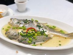 深海大黄鱼-乾隆美食·本帮菜(黄河路店)