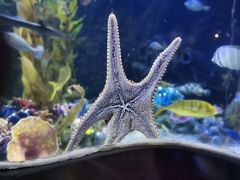 -太平洋海底世界