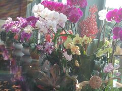 -南通洲际绿博园