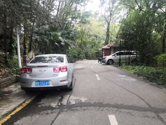 -深圳国际园林花卉博览园