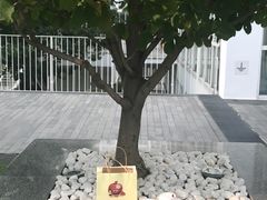 -九秋茶铺(三里屯店)