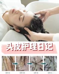 -木北造型