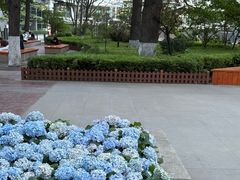 -中国人民解放军总医院