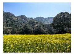 -新安江山水画廊风景区