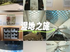 -中国湿地博物馆