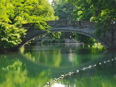 -西湖外事游船(花港观鱼码头)