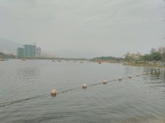 -飞来湖湿地公园