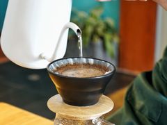 巴布亚新几内亚天堂鸟-默迹咖啡馆