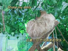 -杭州野生动物世界