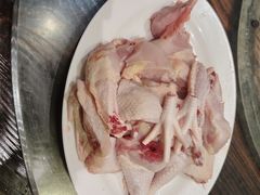 -南海鸽天下(肇庆店)